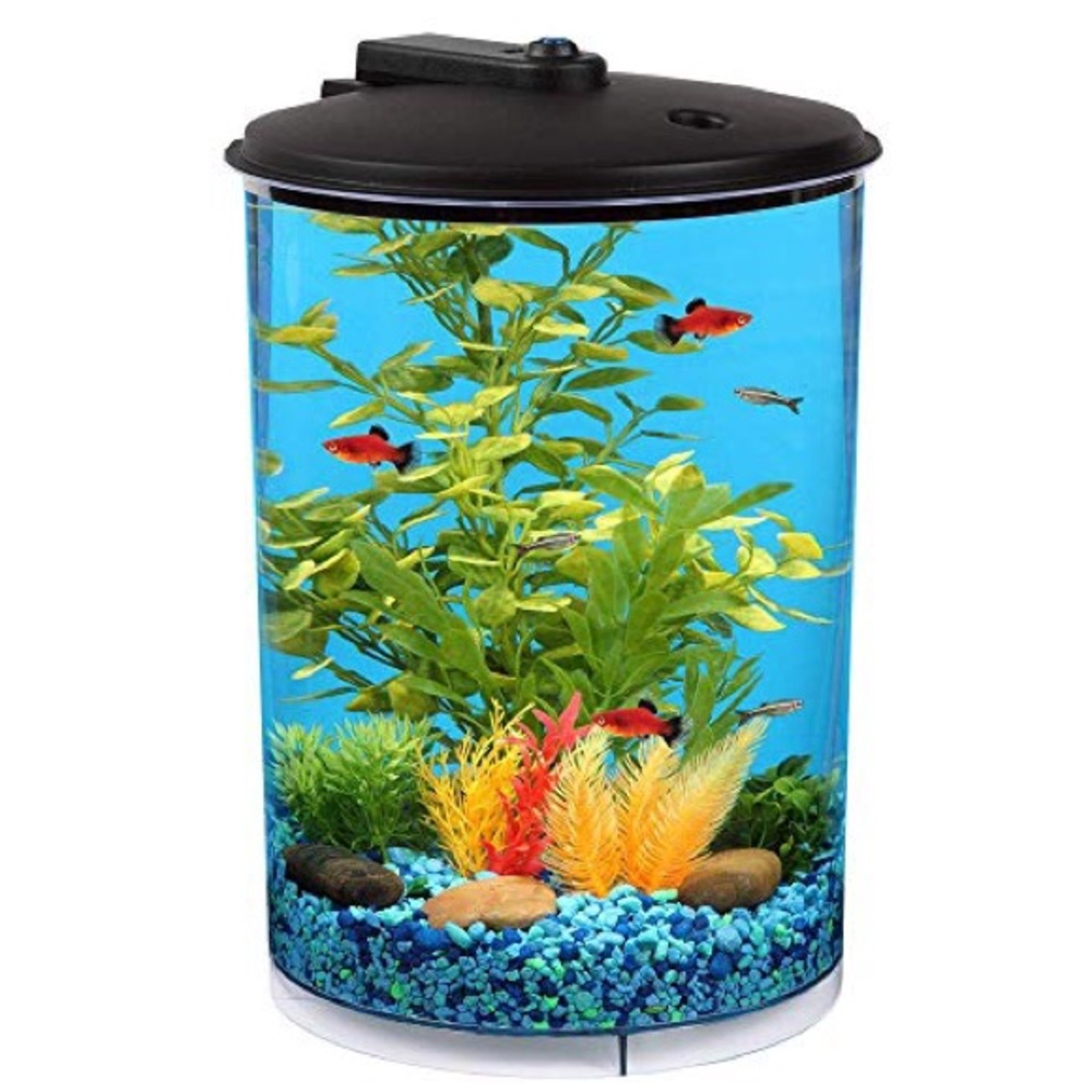 Beta 3 gallon tank